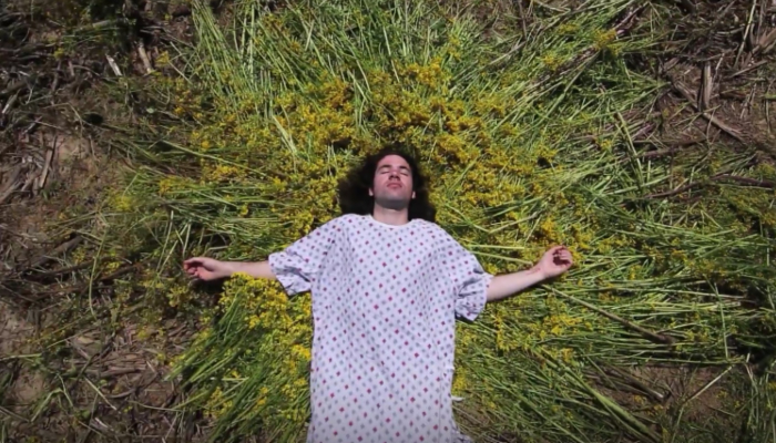 White Reaper Announces Tours with Alvvays and together PANGEA // Releases